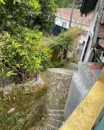 Caza Do Sino *
