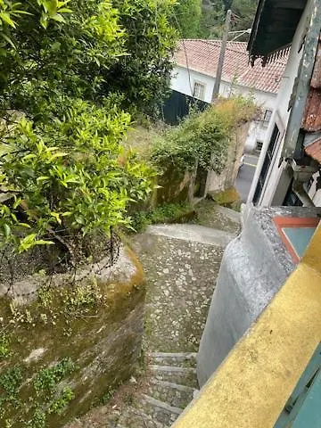 Caza Do Sino *