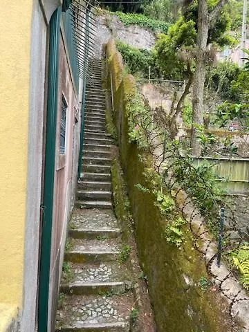 Caza Do Sino *